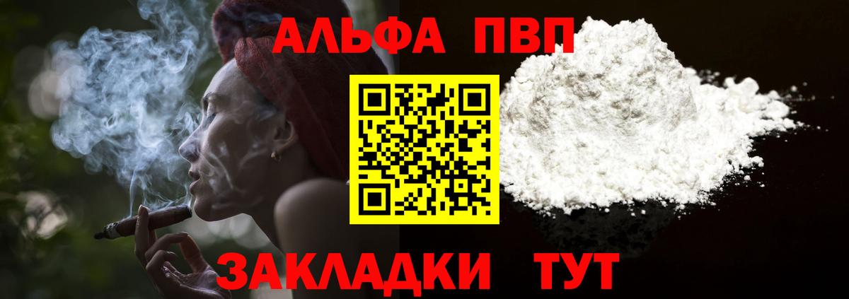 A PVP СК КРИС Нововоронеж