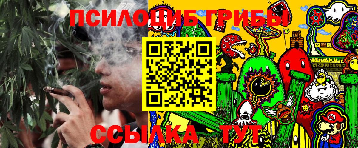 Галлюциногенные грибы мицелий Нововоронеж