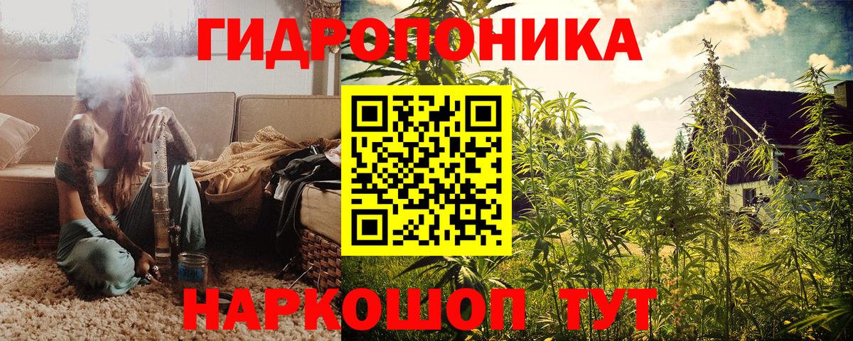 Канабис марихуана  Вход с VPN  Конопля VHQ  Бошки Шишки Ganja  Нововоронеж 
